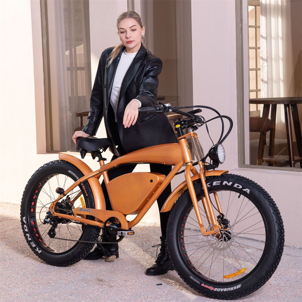 New younger design wide tire sand cross-country camping fashion sports electric bicycle