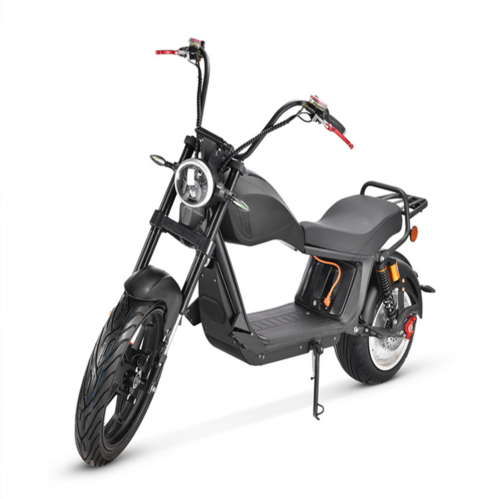 Super long range front and rear double shock absorption wide tire off-road snow sand all terrain citycoco Harley classic electric motorcycle