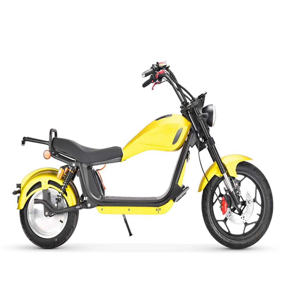 Super long range front and rear double shock absorption wide tire off-road snow sand all terrain citycoco Harley classic electric motorcycle
