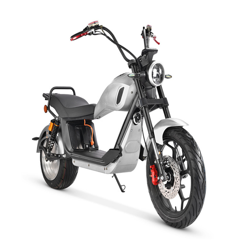 Super long range front and rear double shock absorption wide tire off-road snow sand all terrain citycoco Harley classic electric motorcycle