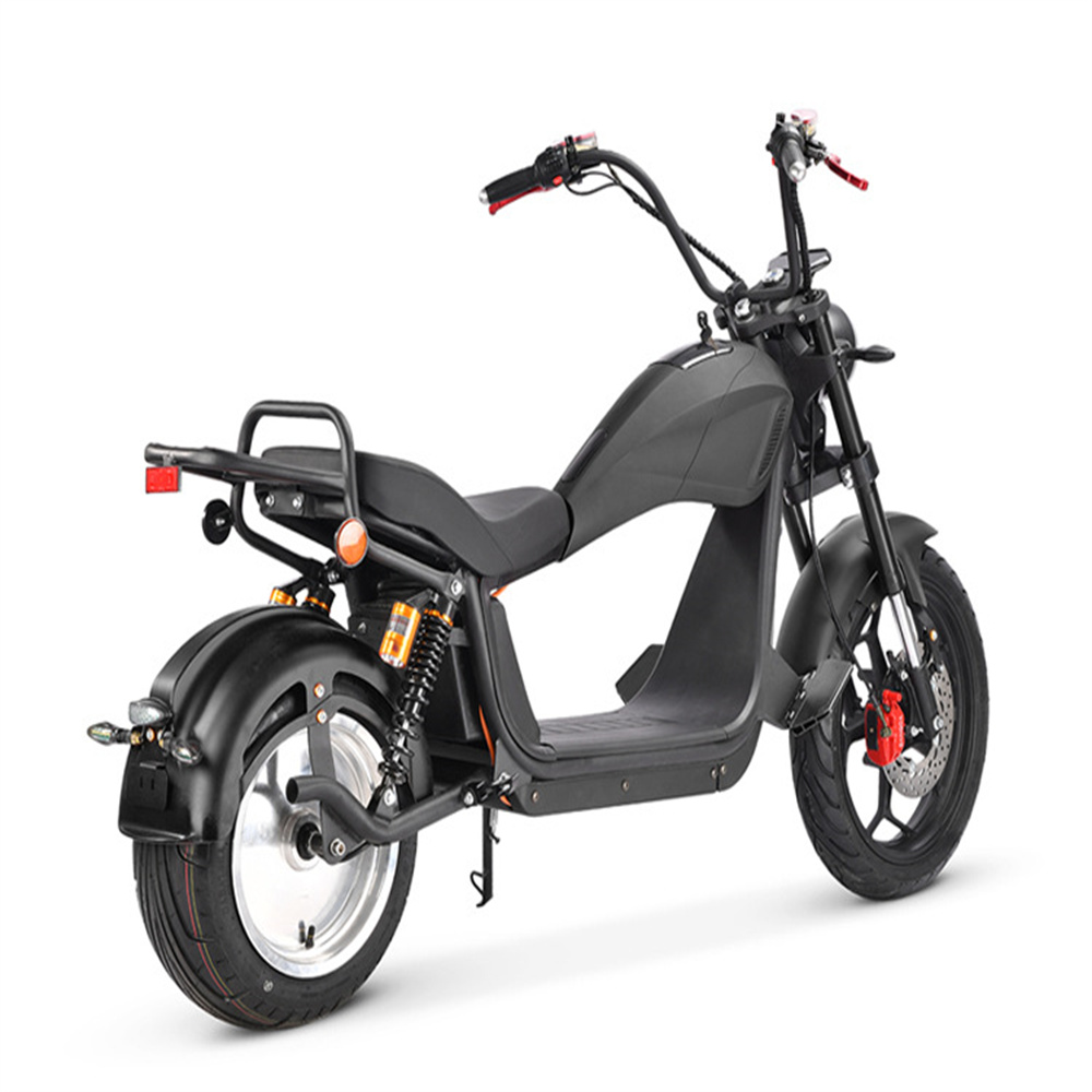 Super long range front and rear double shock absorption wide tire off-road snow sand all terrain citycoco Harley classic electric motorcycle