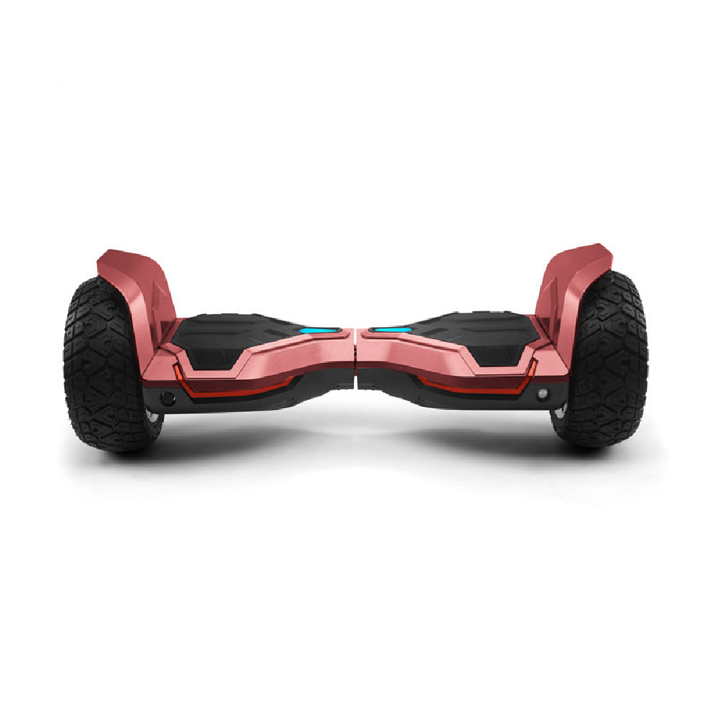 350W Dual motor 8.5inch multi terrain off-road powerful sports APP controls smart electric balance mobility scooter