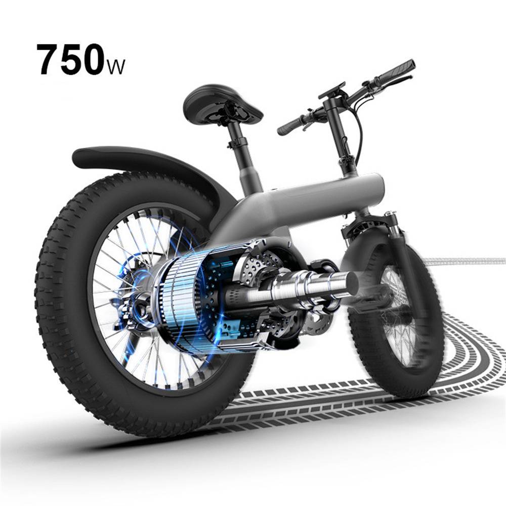 750W 20inch off-road tire detachable lithium battery seven level variable speed waterproof folding electric mountain bike