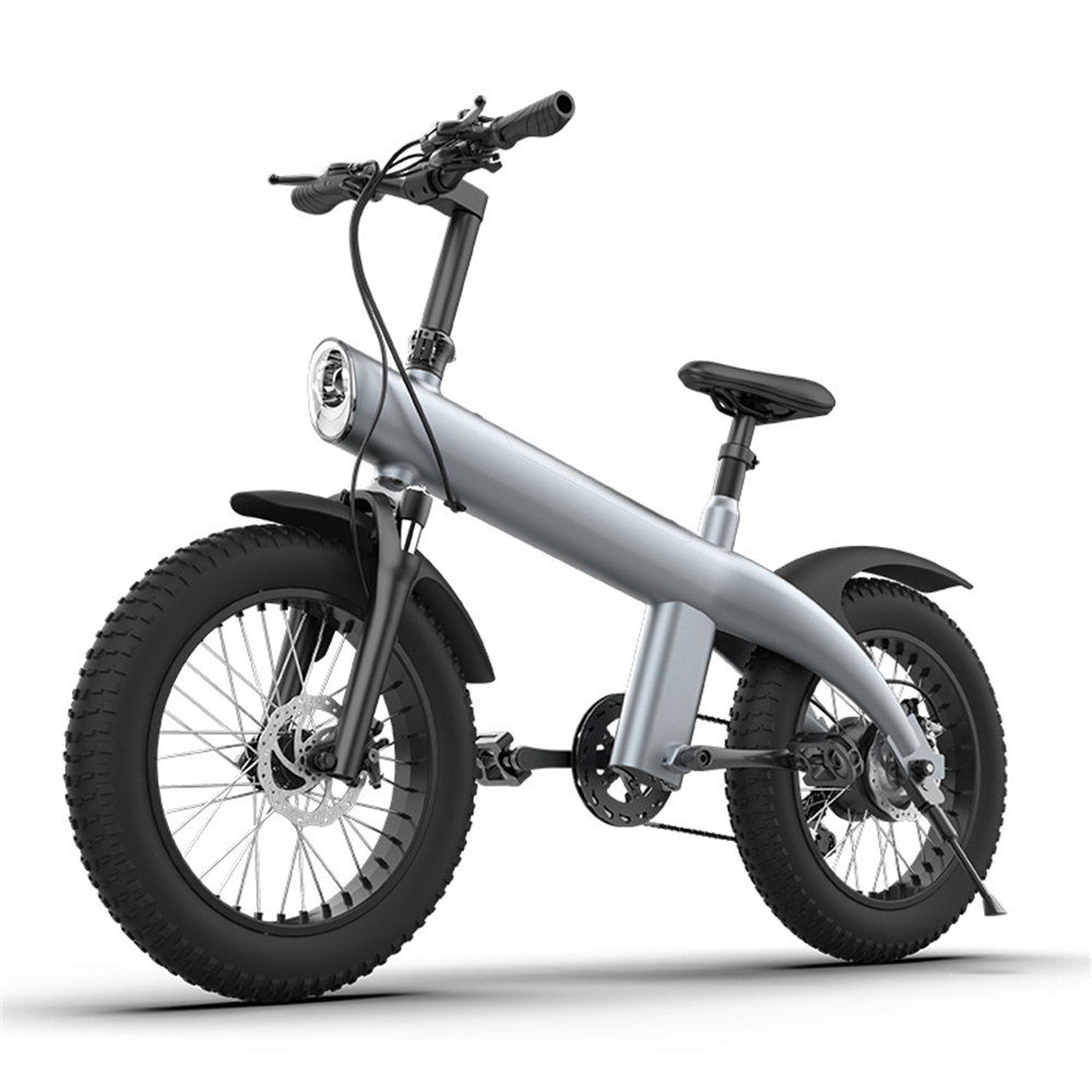 750W 20inch off-road tire detachable lithium battery seven level variable speed waterproof folding electric mountain bike