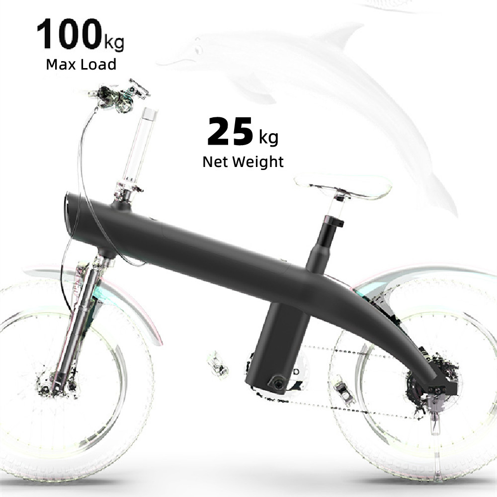 750W 20inch off-road tire detachable lithium battery seven level variable speed waterproof folding electric mountain bike