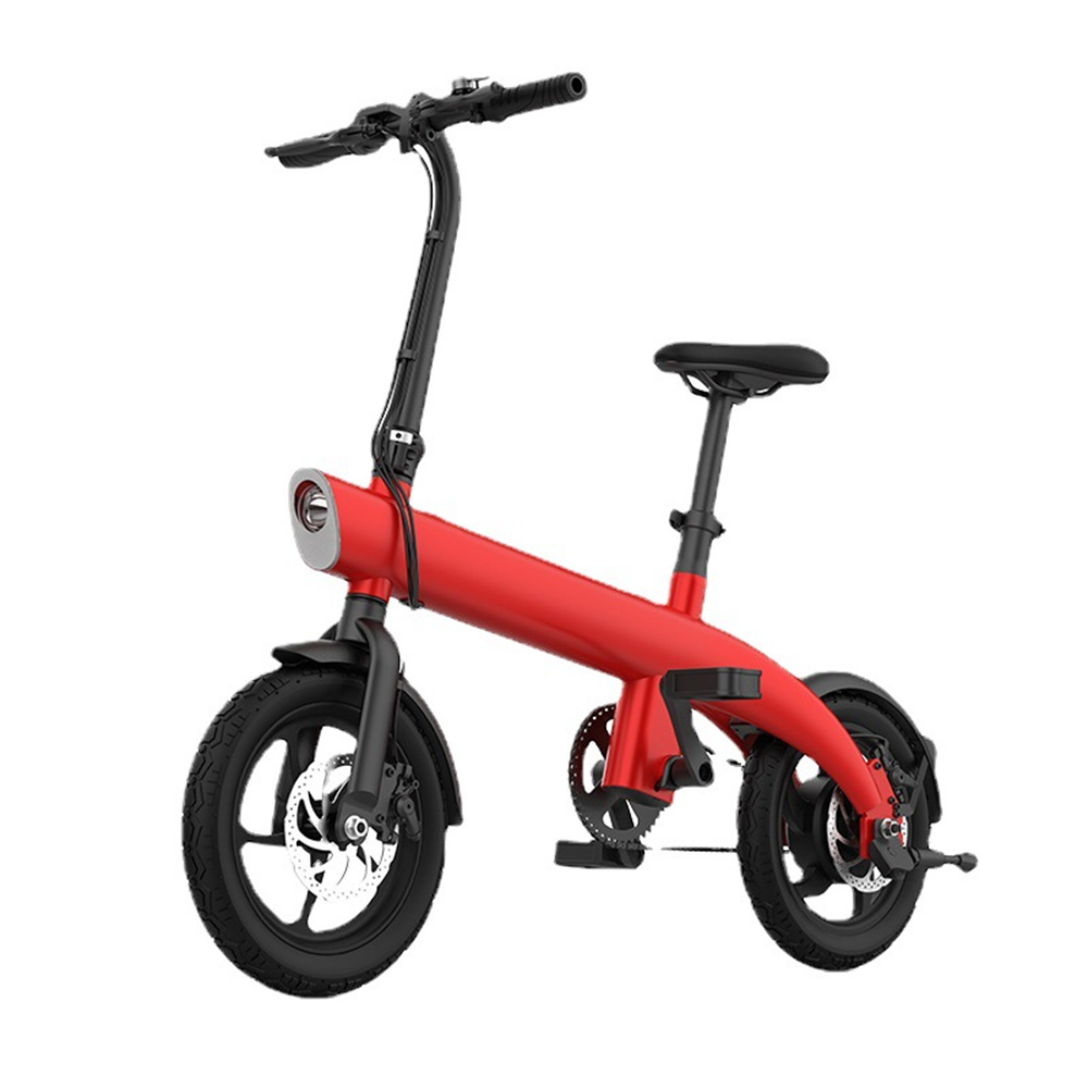 250W brushless motor 14inch ultra wide all terrain tire magnesium alloy front and rear double disc brake removable lithium ion folding electric bicycle