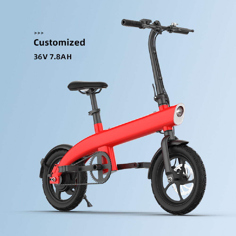250W brushless motor 14inch ultra wide all terrain tire magnesium alloy front and rear double disc brake removable lithium ion folding electric bicycle