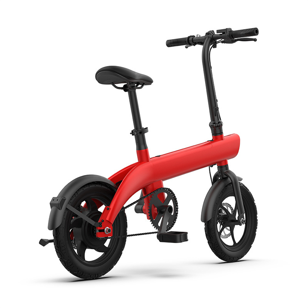 250W brushless motor 14inch ultra wide all terrain tire magnesium alloy front and rear double disc brake removable lithium ion folding electric bicycle