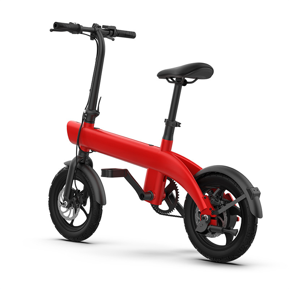 250W brushless motor 14inch ultra wide all terrain tire magnesium alloy front and rear double disc brake removable lithium ion folding electric bicycle