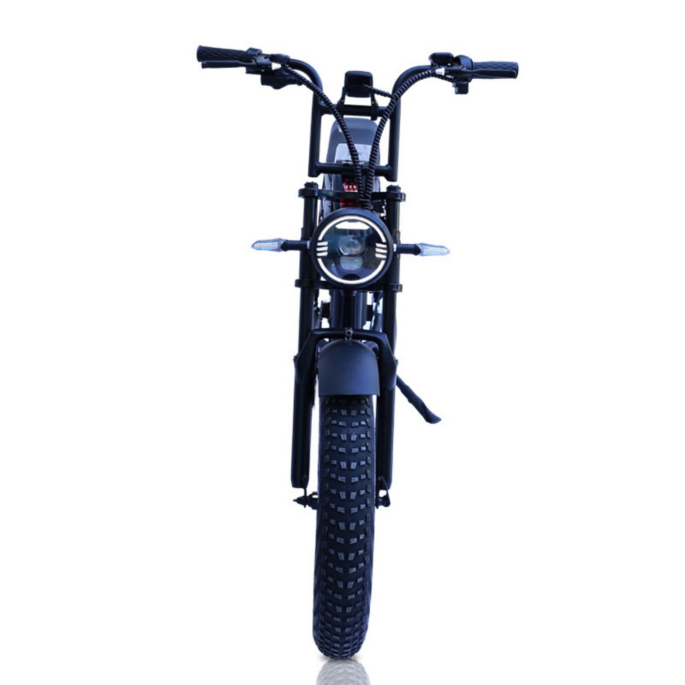 500W high-power motor 20 inch thick off-road tire seven speed change front and rear dual disc brake lithium battery retro electric two wheel snowmobile