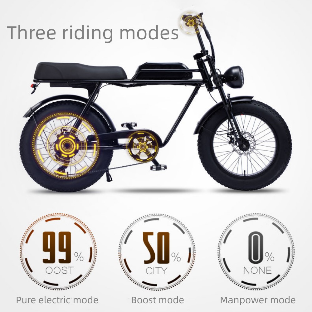 500W high-power motor 20 inch thick off-road tire seven speed change front and rear dual disc brake lithium battery retro electric two wheel snowmobile