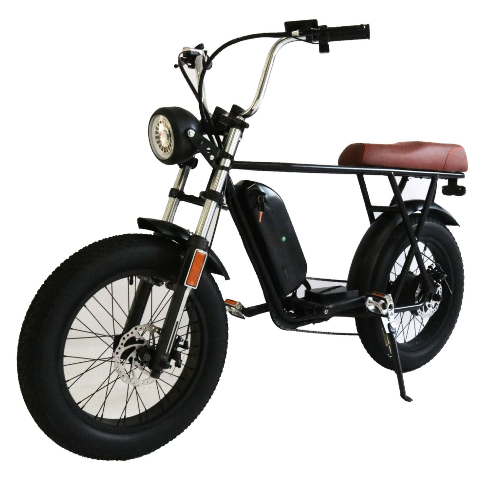 500W wide tire dual battery front fork shock absorption Dune buggy snow vehicle leisure walking retro electric bicycle