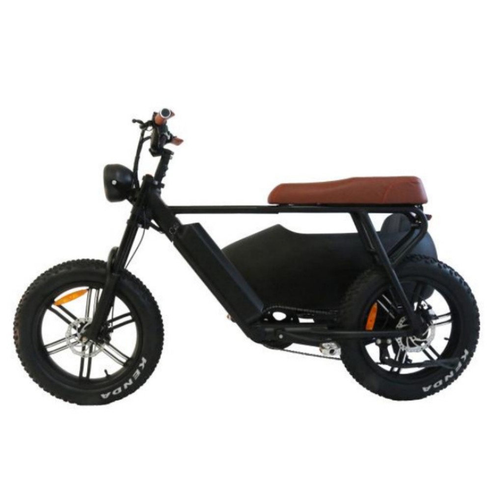 750W outdoor off-road retro adjustable variable speed front and rear disc brakes vacuum tires large capacity battery with side seat three wheel electric bicycle