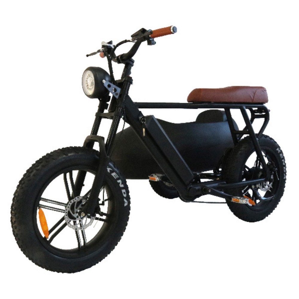 750W outdoor off-road retro adjustable variable speed front and rear disc brakes vacuum tires large capacity battery with side seat three wheel electric bicycle