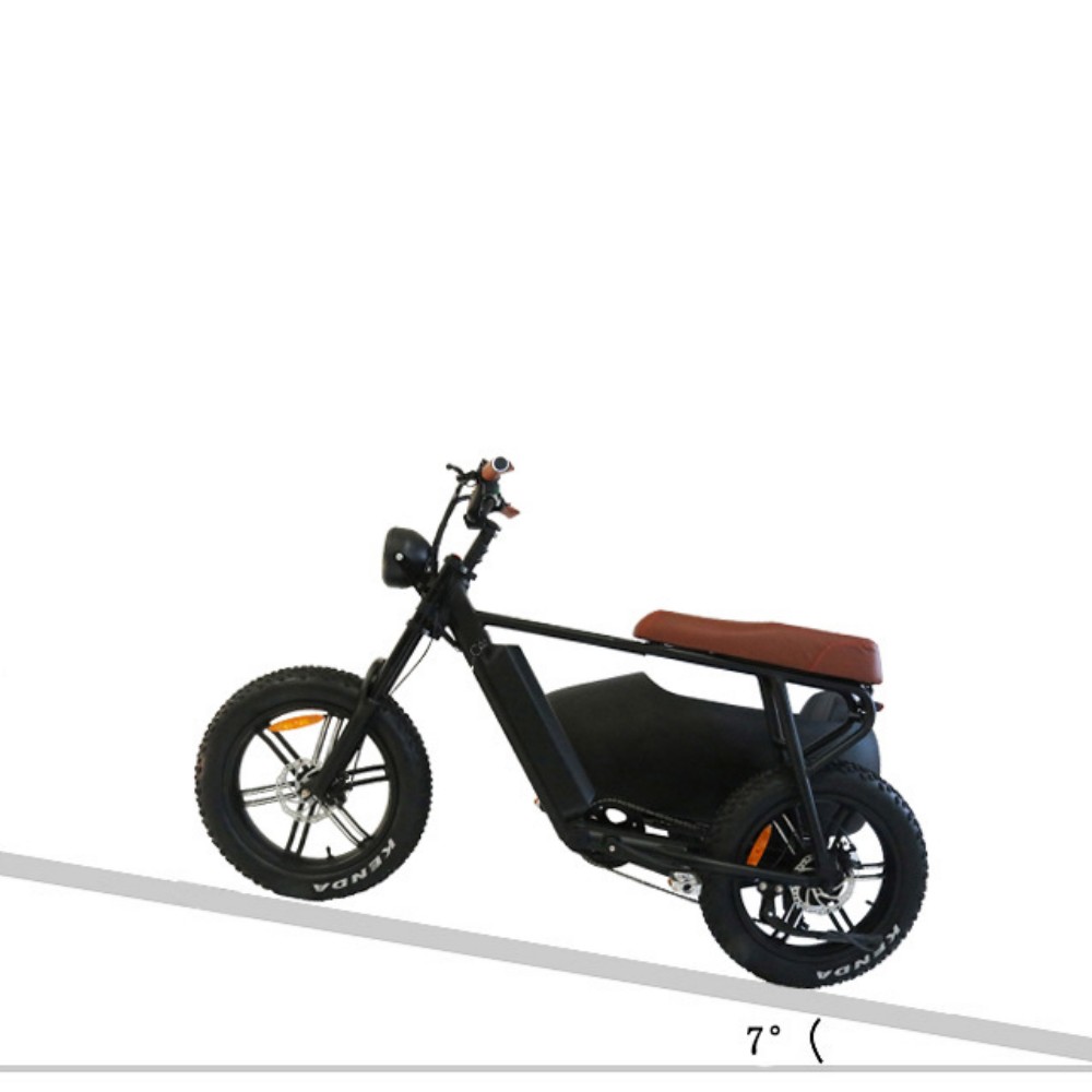 750W outdoor off-road retro adjustable variable speed front and rear disc brakes vacuum tires large capacity battery with side seat three wheel electric bicycle