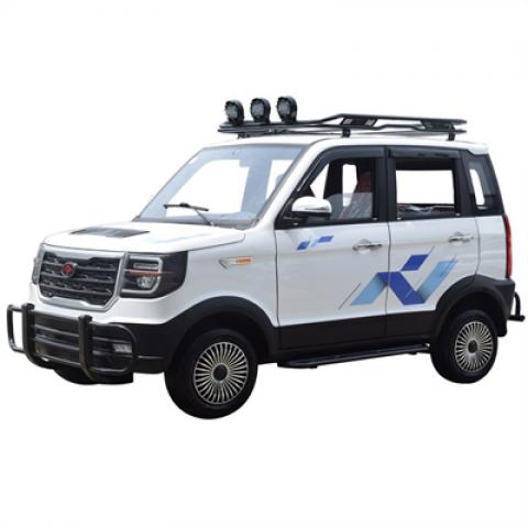 hot selling lithium battery 220v electric car for adult 4 wheels 5 seats Electric Car Manufacturers 2021 New Energy from China