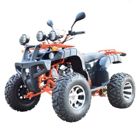 two seat big size adults beach mountain wild off road 1000W 60V electric All terrain vehicle Mud truck ATV SUV cars