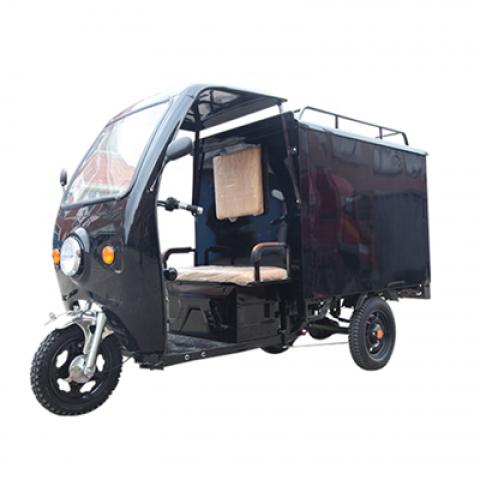 Cargo express renting sharing delivery taxi farm freight takeaway takeout transport three wheels Electric pickup truck Tricycles