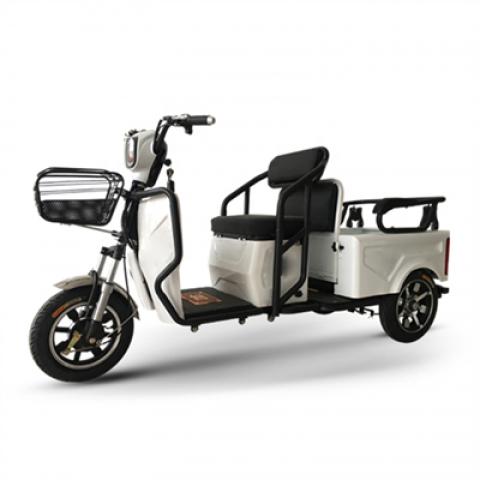 two seat dual persons shopping bike mobility elderly Assisted travel Electric Tricycles three wheels scooter with big carriage