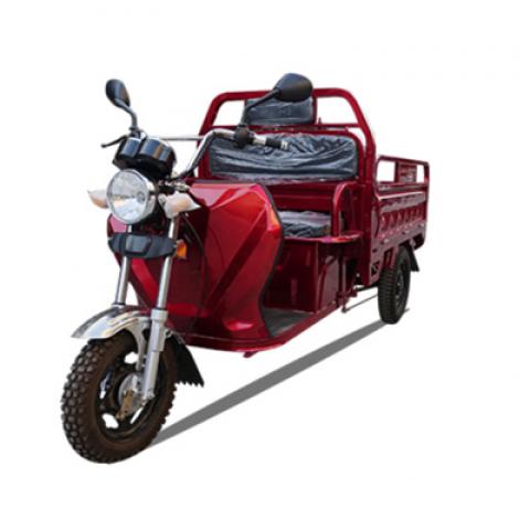 Land boat Cargo express renting sharing delivery taxi farm freight transport three wheels Electric pickup truck car Tricycles