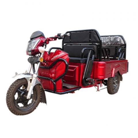 Big carriage Cargo express delivery farm freight takeaway takeout transport flat three wheels Electric pickup truck Tricycles