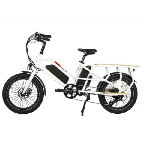 two batteries big carriage cargo delivery takeaway takeout mountain off-road fat camping beach electric bicycle bike motorbike