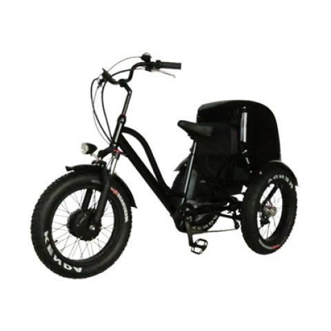 750W 26 inch easy shopping bike reduced mobility Handicapped The elderly Assisted travel Electric Tricycles three wheels bike