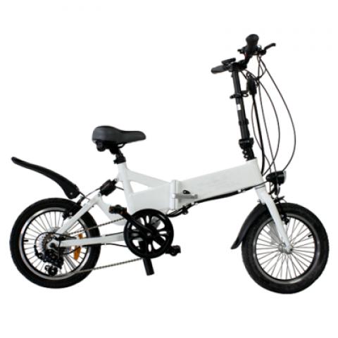 16 inch wheel tyres 21 speeds 250W motor Folding long range swapping battery park camping beach electric bike bicycle