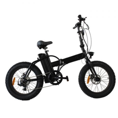 20 Inch big fat tyres 21speeds 250W off road moutain outdoor sport women child kids wild Folding foldable Electric Bike bicycles