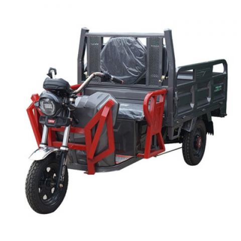 Newest large size heavy duty scooter with delivery box passenger and cargo high powerful 800w 48v electric rickshaw 3 wheeler