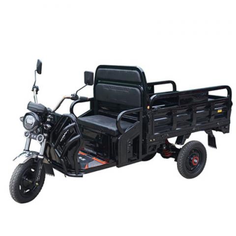 Front and rear fat tire 375-12 LED lights heavy load electric tricycle 1000W differiential motor 3 wheel with LCD Display