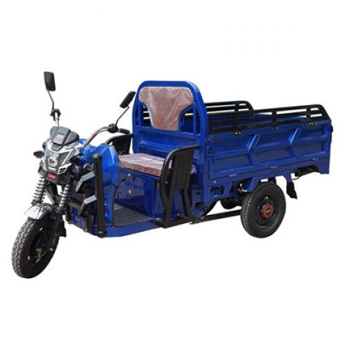 Fast delivery Heavy duty three wheel cargo tricycle for sale steel body 3 wheel electric motorcycle car for the farm, warehouse