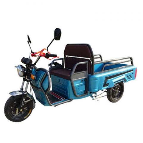 CE mini electric tricycle 500w differiential motor 3 wheel long range customized 2000w electric automobiles mini cargo for sale