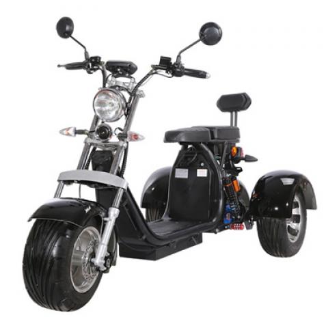 1500w 3-wheeled HARLE electric scooter 2 seat smart anti-theft APP GPS Alarm front and rear disc brake remove battery e vehicle