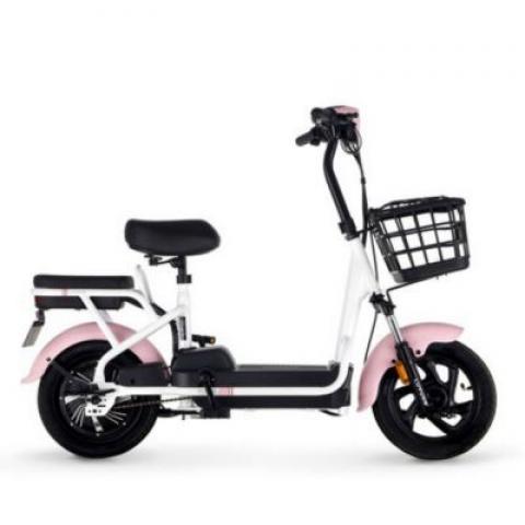 350W 48V 12AH 14 inch cheap simple Commute lead acid battery iron body parent children electric scooter bike bicycle two seat