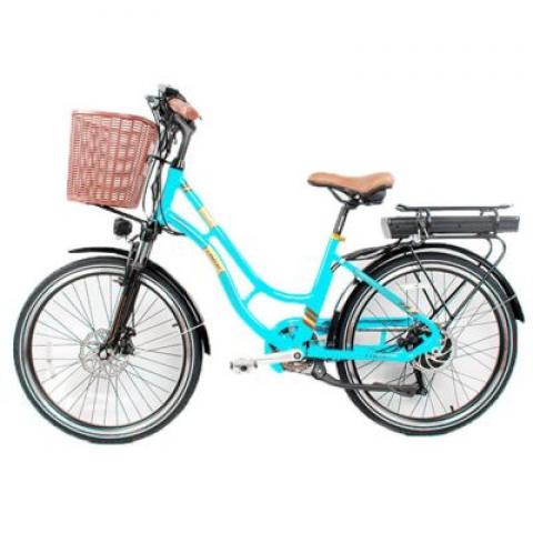 20inch 36v/48v Beautiful electric trotter bike with cargo basket for women girl electric vehicle with two seater from China OEM