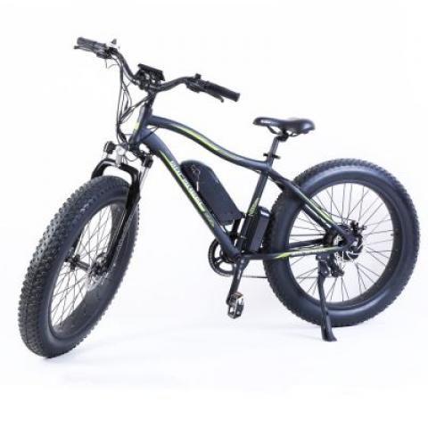 Electric sports bikes for men and women 21 speed 26*4.0 Fat tire electric mountain bike 350w 36v10.4ah removable lithium battery