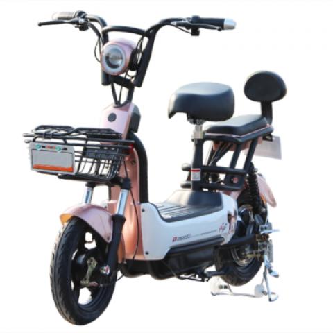48V 500W solid body whole Iron man strong frame delivery cargo express lead acid lithium battery Electric scooter bike bicycle