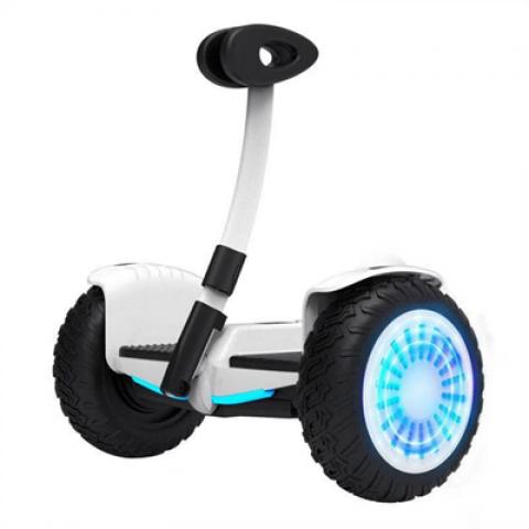 Intelligent somatosensory 10 inch wheel electric unicycle self-balancing 36V with APP Bluetooth leg/hand remote control scooter