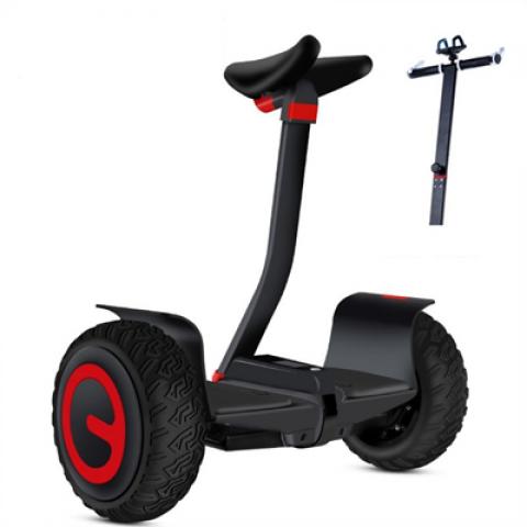 10inch 700w power electric 2 wheel self-balancing unicycle scooter BMS system upgrade off road tire Bluetooth Download APP