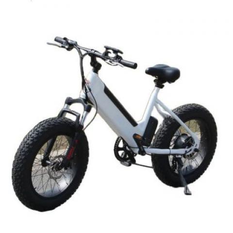 20 inch fat tyres 500W 48V/14AH 27 speeds mountain off-road camping beach electric bicycle bike motocross motorcycle motorbike