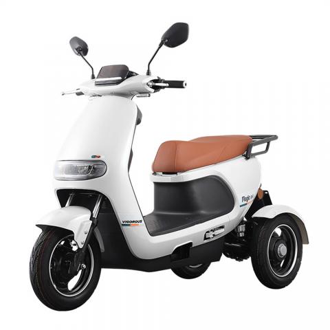 800W 10inch LED light super long endurance constant speed cruise intelligent electric tricycle elderly leisure scooter
