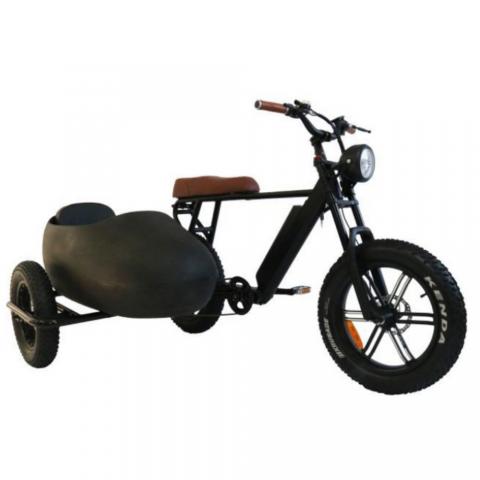 750W outdoor off-road retro adjustable variable speed front and rear disc brakes vacuum tires large capacity battery with side seat three wheel electric bicycle